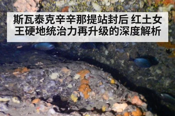 斯瓦泰克辛辛那提站封后 红土女王硬地统治力再升级的深度解析